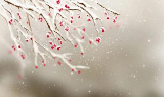 晚来天欲雪暗示什么（晚来天欲雪含义）