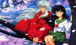 犬夜叉的衣服叫什么名字(犬夜叉服装的由来)