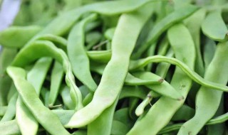 芸豆的播种深度 芸豆种植株距