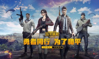 和平精英别墅区在哪(和平精英别墅区有黄金跑车嘛)