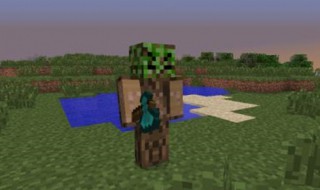 怎样在我的世界上进入其他世界（我的世界进入外界的技巧）