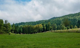 森林生态旅游的意义（森林生态旅游的有利影响）