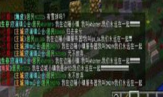 我的世界服务器怎么搞字幕?(我的世界服务器怎么搞字幕显示)