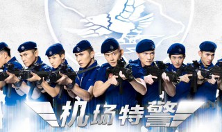 机场特警电视剧演员表 机场特警剧情简介