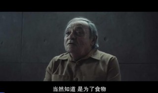 饥饿站台讲的什么（饥饿站台讲的是什么）