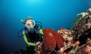 潜水怎么减压怎么排压(潜水减压什么意思)