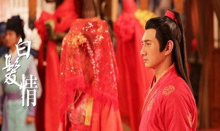 白发成亲是哪一集 白发成亲花絮