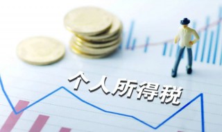 个人所得税怎么领取（个人所得税怎么领取补贴）