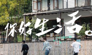 你好生活哪个台播出 你好生活哪个台播出过