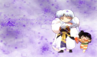 犬夜叉中杀生丸和小玲的集数（犬夜叉中杀生丸和小玲的结局）