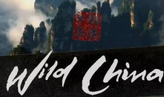 bbc中国纪录片有哪些(bbc纪录片国语)