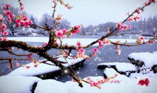 一剪梅是哪个电视剧的主题曲 一剪梅是什么电视剧的主题曲