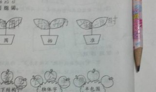 三包围和半包围的区别（三包围和半包围是一样的吗）