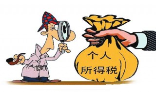 退个人所得税有什么影响（退个人所得税有坏处吗）