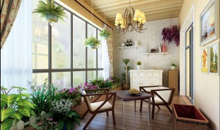 家里养花花放哪里（家里养花花放哪里最好）