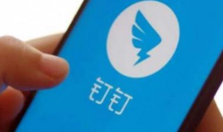 为什么手机钉钉申请进不了班级（钉钉班级进不去）