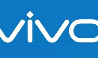 vivo身份验证过期怎么切换账号（vivo身份验证问题怎么改）