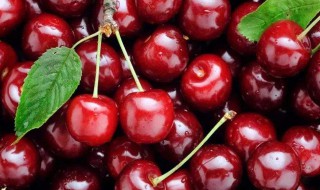 鹅肉和樱桃一起煮可以吗? 鹅肉和樱桃能一起吃吗