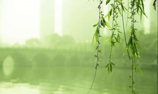 关于清明缅怀烈士的诗词（关于清明缅怀烈士的诗词名句）