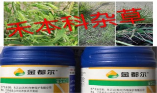 金都尔怎么使用效果最佳（金都尔是哪个公司生产的）