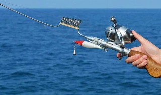 麦穗晚上闹窝吗?（夜钓麦穗闹窝吗）