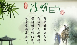 清明这首诗的经典诗句是什么（清明这首诗的诗词是什么）