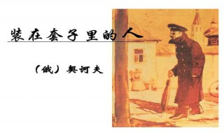 装在套子里的人概括（装在套子里的人概括100字）