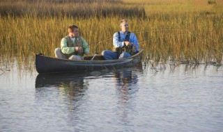 前打钓竿使用方法（前打竿怎么钓）