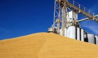 中国是粮食出口国还是进口国（中国是粮食出口国还是进口国呢）