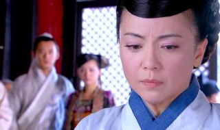 邓萃雯主演的电视剧有哪些（金枝玉叶电视剧）