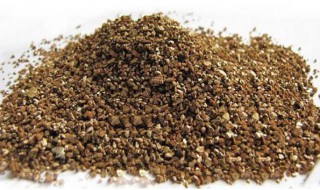 蛭石的作用养花(蛭石栽花起什么作用)