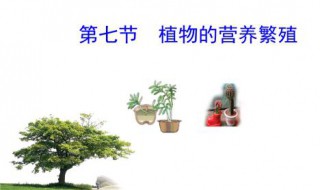 营养繁殖是用什么进行繁殖的方法（营养繁殖是根据什么原理）