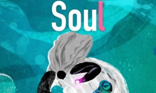 soul获取失败怎么回事（soul获取用户信息）