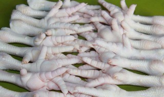 鸡有5个爪子正常吗（鸡有几个爪子图片）