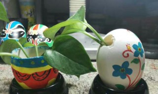 水鸭蛋壳太薄是什么原因 水鸭蛋壳太薄是什么原因呢