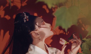 逢青主要讲了什么（逢青写的什么）