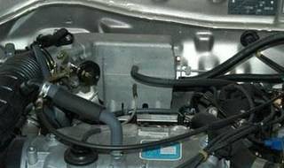 夏利车防冻液在哪儿 8个月的杜宾还能立耳嘛