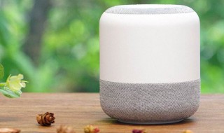 小度开不开机是什么原因 小度插上电源没反应怎么解决