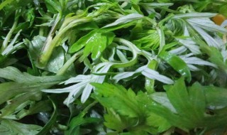 煮艾水的功效与作用 如何煮艾水