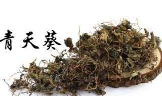 紫红色青天葵功效与作用（紫色青天葵的功效与作用）