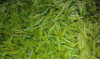 白茶桂花茶的功效与作用 白茶桂花香