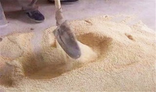 猪饲料里加盐起什么作用（猪饲料加盐的比例是多少）