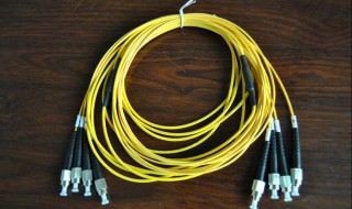 光纤的纤芯有什么作用 光纤的纤芯是由什么材料制成