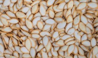 南瓜籽可以种植吗（南瓜籽可以种植吗图片）