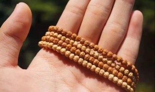 怎么挑选小金刚（怎么挑选小金刚手链）