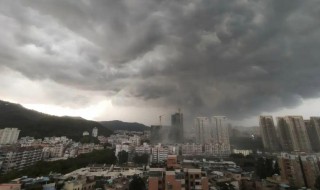 雷雨大风黄色预警信号的具体内容有哪些 雷雨大风黄色预警信号防御指南