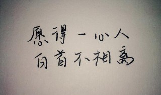 古诗愿得一心人白头不相离的作者是谁 古诗愿得一心人白头不相离出自哪里