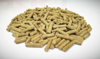 颗粒饲料怎么做野钓饵（颗粒饲料怎么钓鱼开饵）