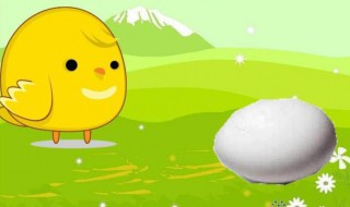 神奇的鸡蛋壳的故事 神奇的鸡蛋壳的故事怎么写