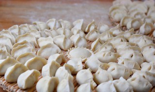 奶白菜做饺子的方法(奶白菜做饺子的方法和做法)